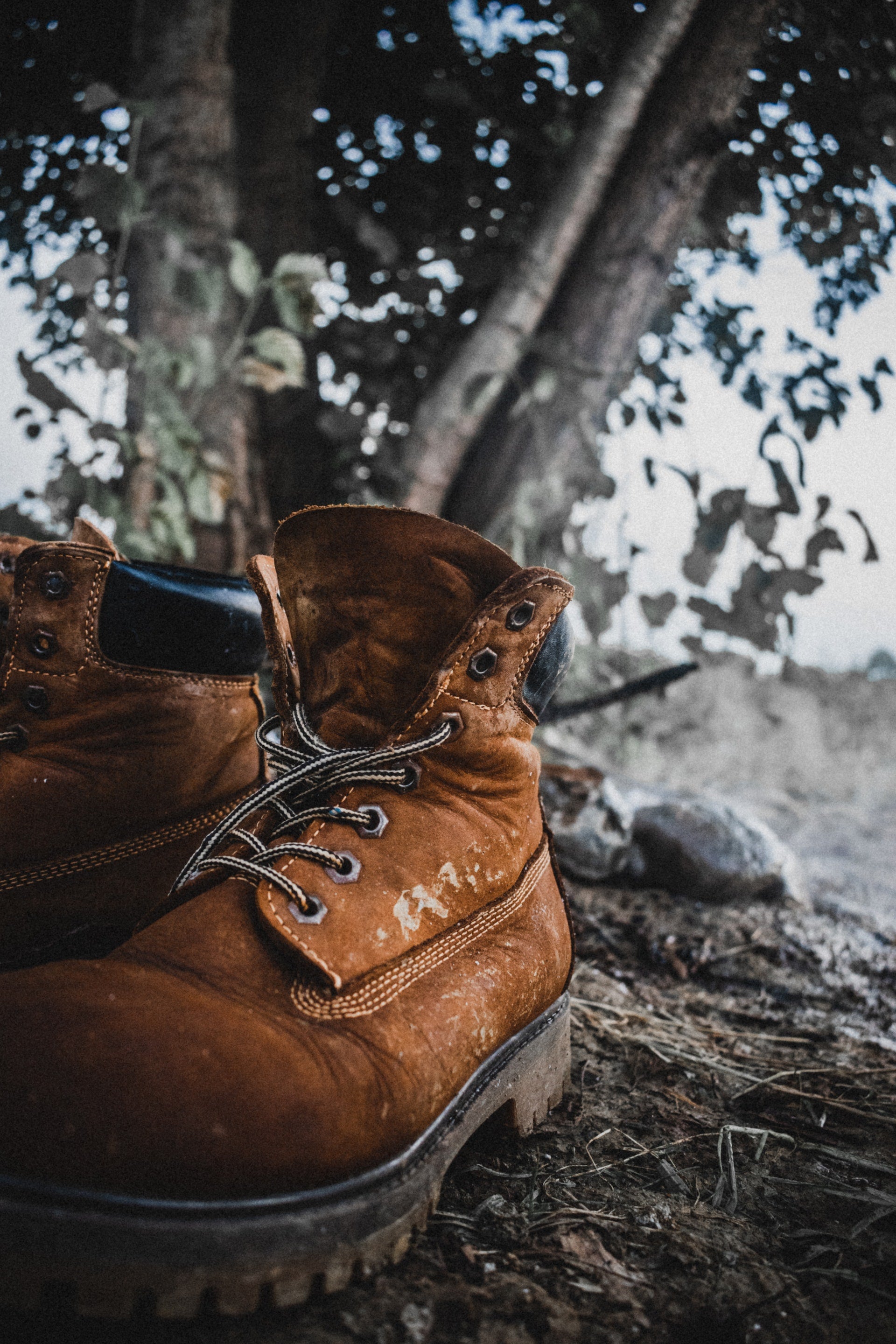 Good shoes in forest